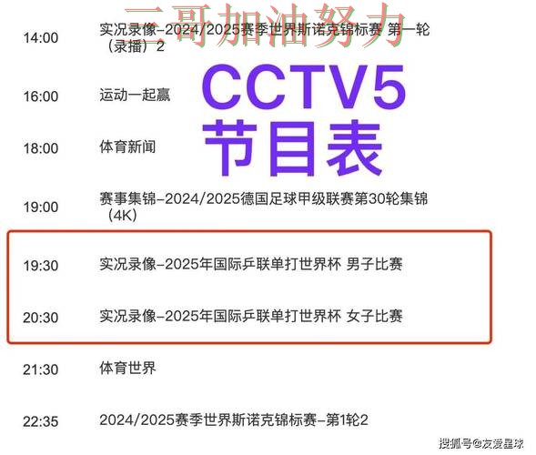 世界杯实时直播背景下的世界杯买球平台全面分析与用户反馈直播解析